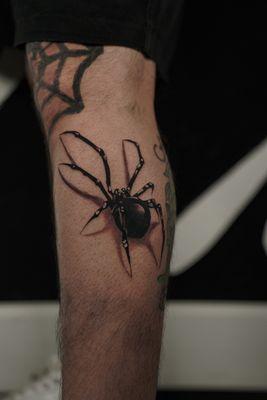 Spider tattoo done by Brenden