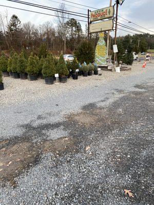 Arvin Produce & Garden Center