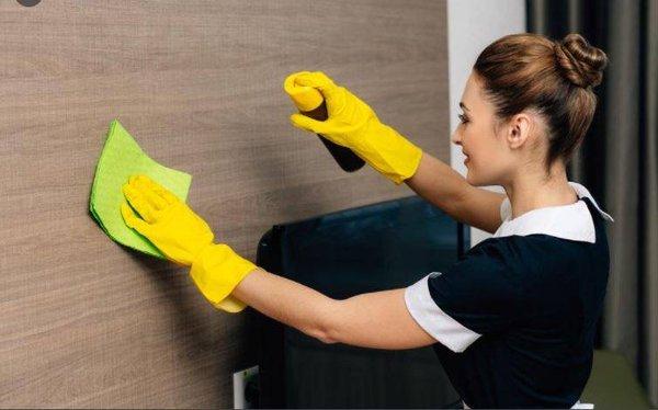 Judgment free cleaning and organizing