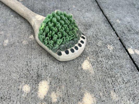 Woodie's Wash Shack - Ulmerton