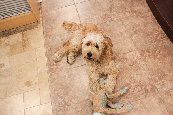 The Well Dressed Window of Chicagoland