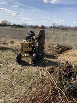 Dave Marek's Landscaping
