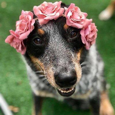 757 Realty & 804 Homes