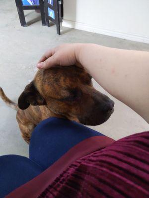 Jmj Wrecking & Used Cars