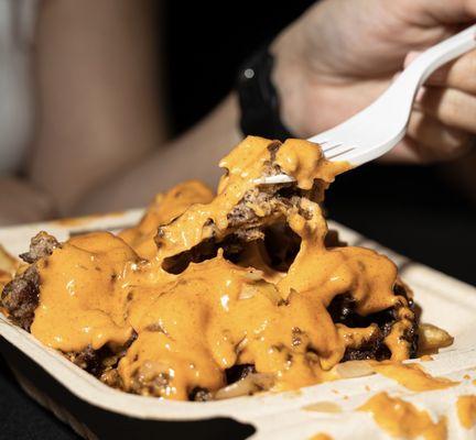 Bricked Loaded Fries