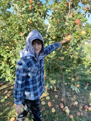 Baugher's Orchard Bakery