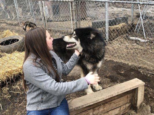 Rocky Mountain Wildlife Foundation