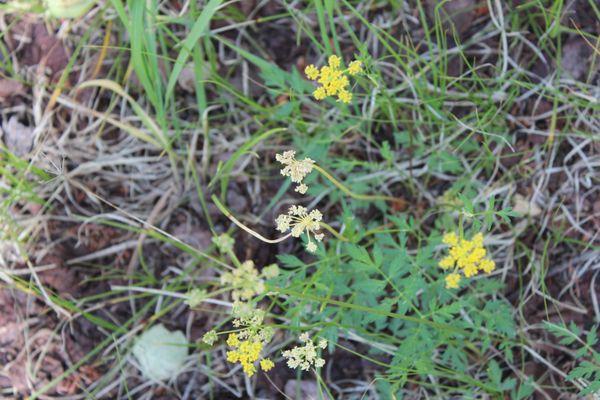 Monument Ridge Property Management