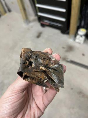 Curly Tail Screen & Window