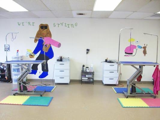 Tracy's Tlc Grooming