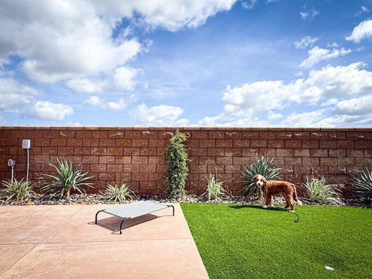 C & H Gardens Artistic Landscape & Tree Service