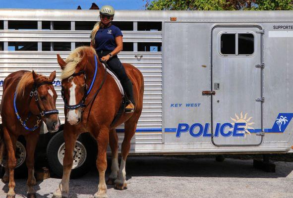 Briarwood Animal Hospital