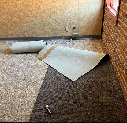 E.C. Hauling & Cleaning Services