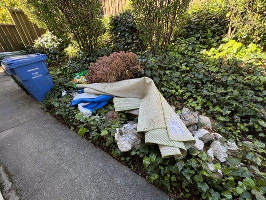 Danny's Junk Removal & Demolition