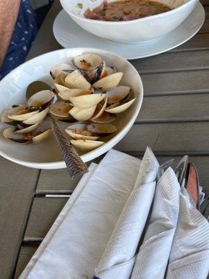 Excellent clams and oysters