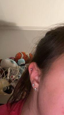 The Marked Society II