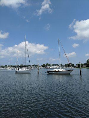 Wickford Marina