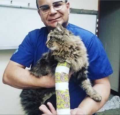 RICHARD SHARGANI D.V.M.