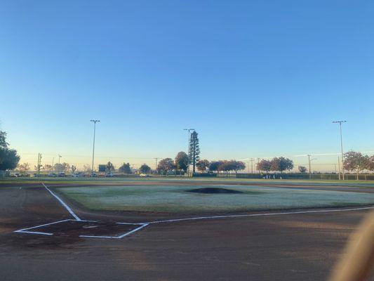 Field 4, morning frost