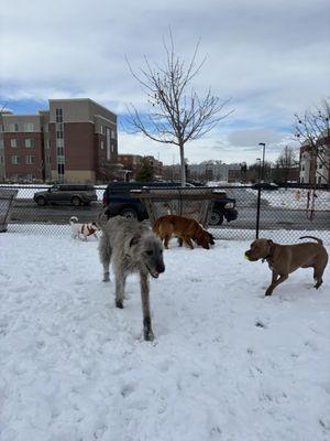 Aksarben Off Leash Dog Park