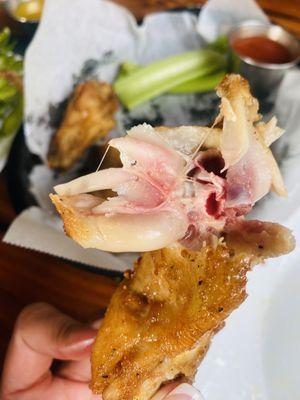 South Shore Tiki Lounge