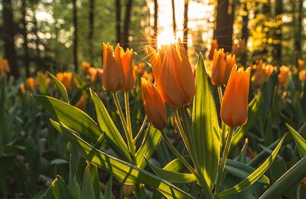 You can do it! Nothing is impossible. There is always hope.