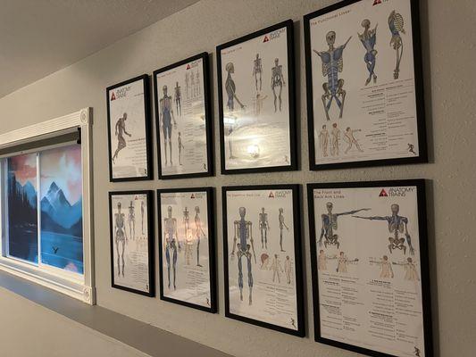 HeartCore Therapeutics