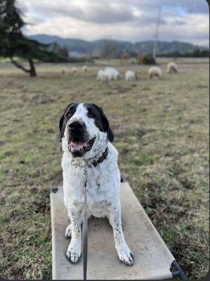 My girl learning place