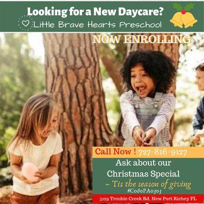 daycare_near_me_daycares_new_port_richey_fl