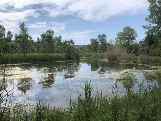 One of the many ponds on the hike