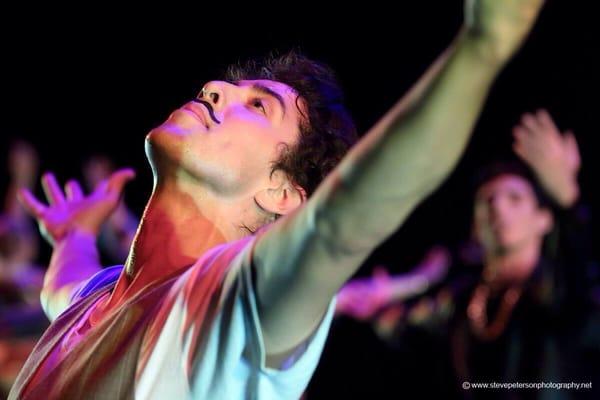 Curio Dance & School