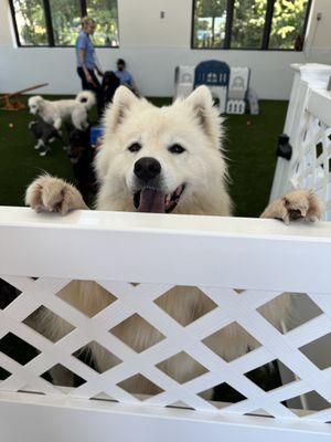 Animal Care Center of Carters Creek