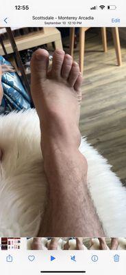 Kaibab Animal Hospital