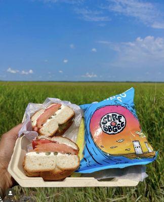 Surf Bagel