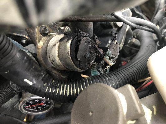 Olympic Automotive Service Center