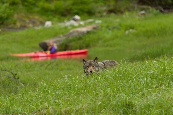 Alaska Sea Adventures