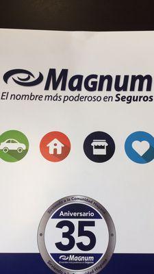 Magnum Insurance Agency