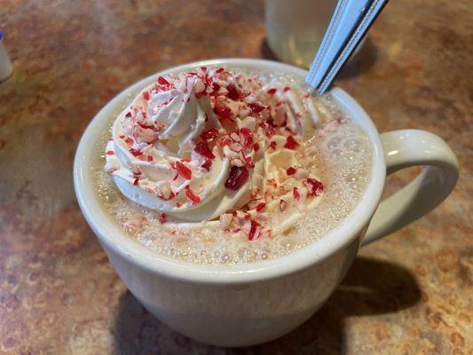Peppermint mocha since it was the holiday season