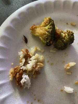 No 1 Chinese Restaurant