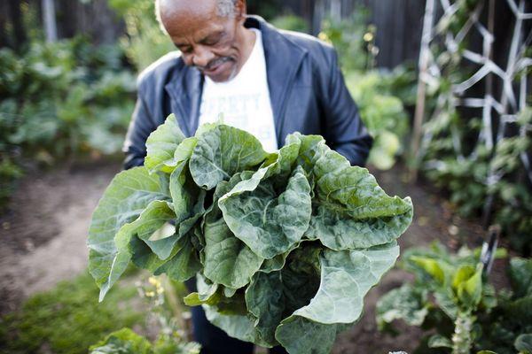Volunteer with vegetables harvested from the garden