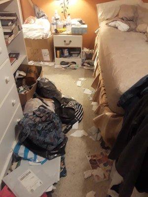 A-1 Cleaning Services