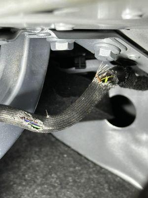 Rubbed through wire harness