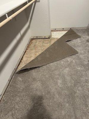 West Coast Fire & Water