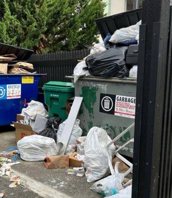 Excellent location in Alki beach but they need to get their property maintenance together; specially in rear entrance trash area