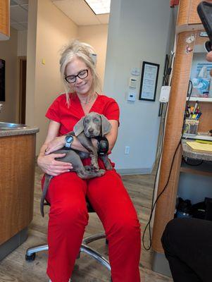 Northwest Dental Associates