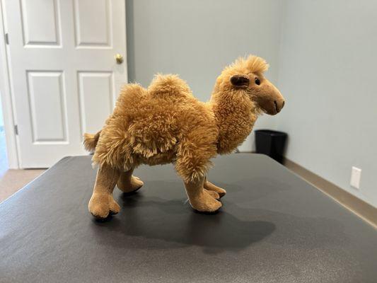 Live Well Chiropractic of WNY