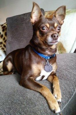 Michigan City Animal Hospital