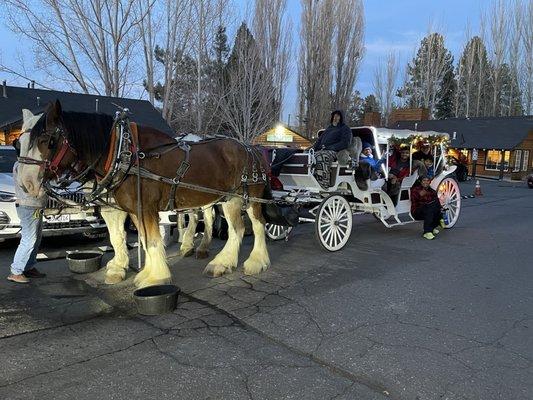 Big Bear Carriages