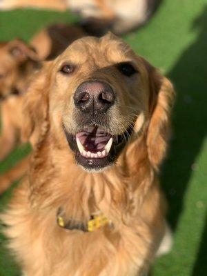 Cahaba Beach Dog Park