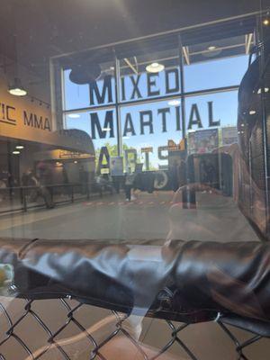 Warrior Martial Arts Academy